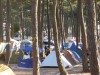 Tele Camping