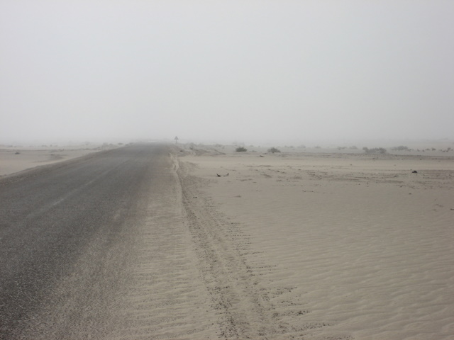 Nebel in der Westsahara