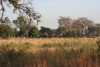Gambisches Dorf