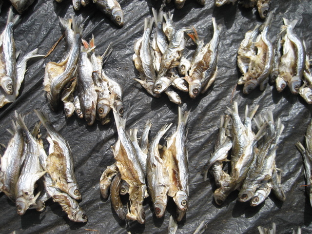 Fischmarkt in Ségou